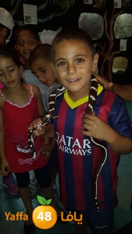 masyaf 7san 3arafasaj (63).jpg